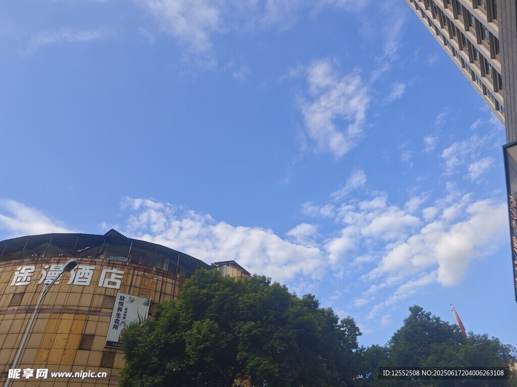城市中藍天綠樹旁的建筑