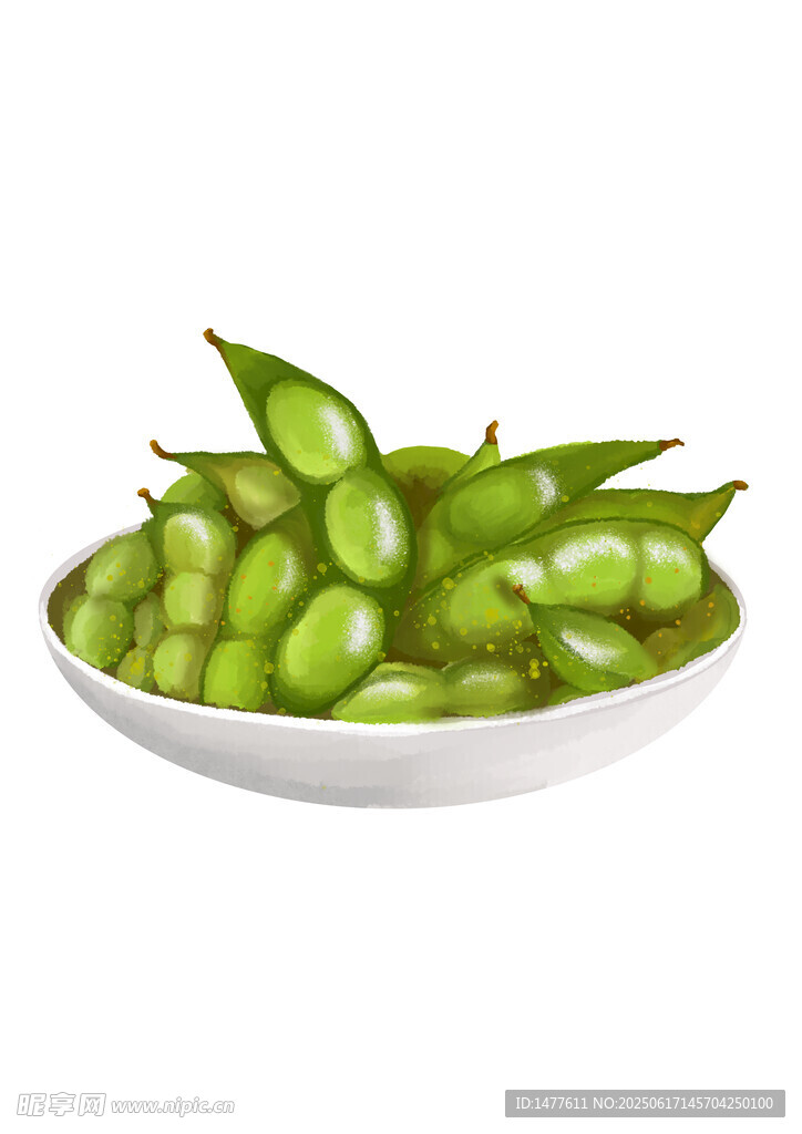 毛豆