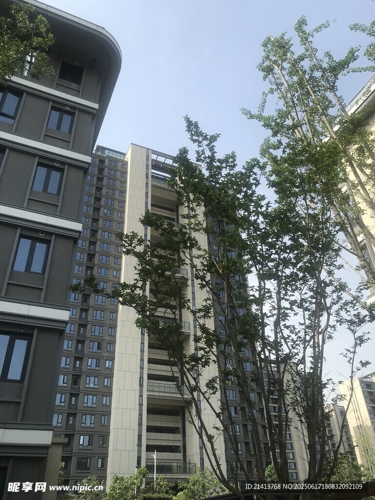 別墅洋房