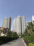 城市高樓