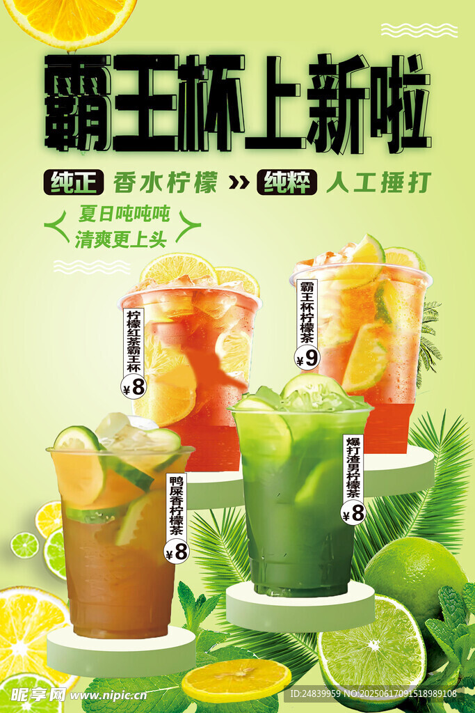 霸王杯上新啦