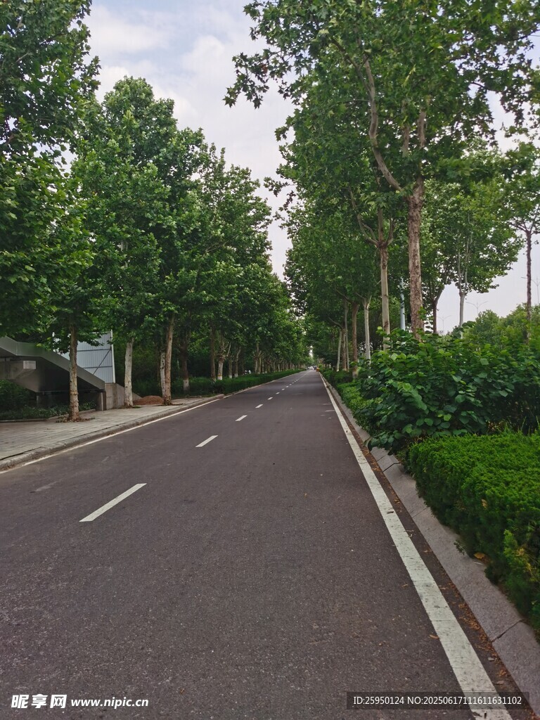林蔭大道