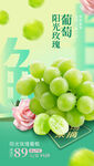 陽光玫瑰