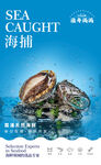 海鮮海報(bào)
