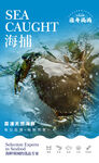  海鮮海報(bào) 