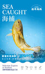  海鮮海報(bào)