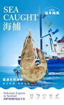 海鮮海報(bào)