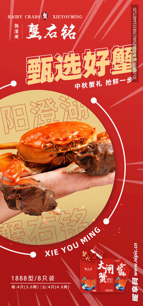 大閘蟹 