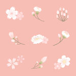 卡通櫻花圖案