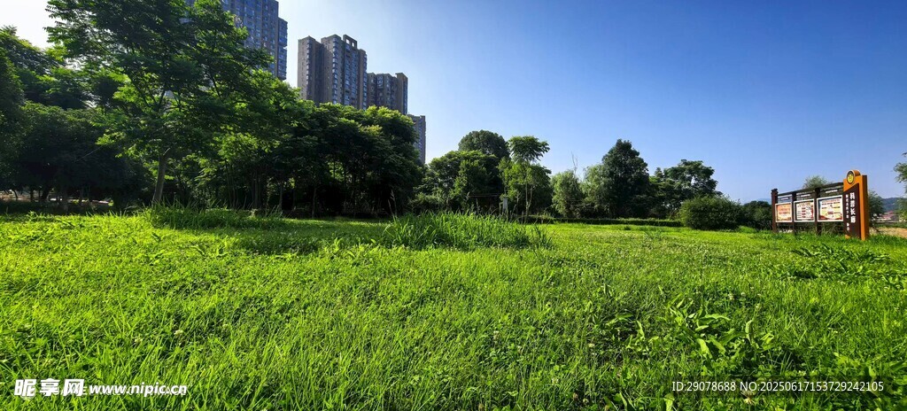新化縣的城市綠地