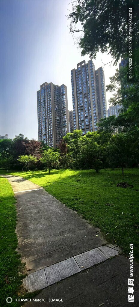 城市中的靜謐林蔭小道