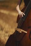 女子于田野中演奏低音提琴