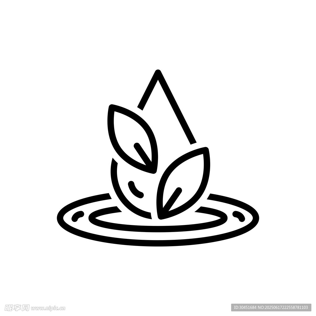 水滴 茶葉