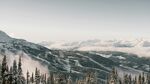 雪山松林間的壯美風景