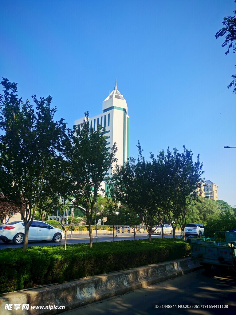 城市道路旁的高聳建筑