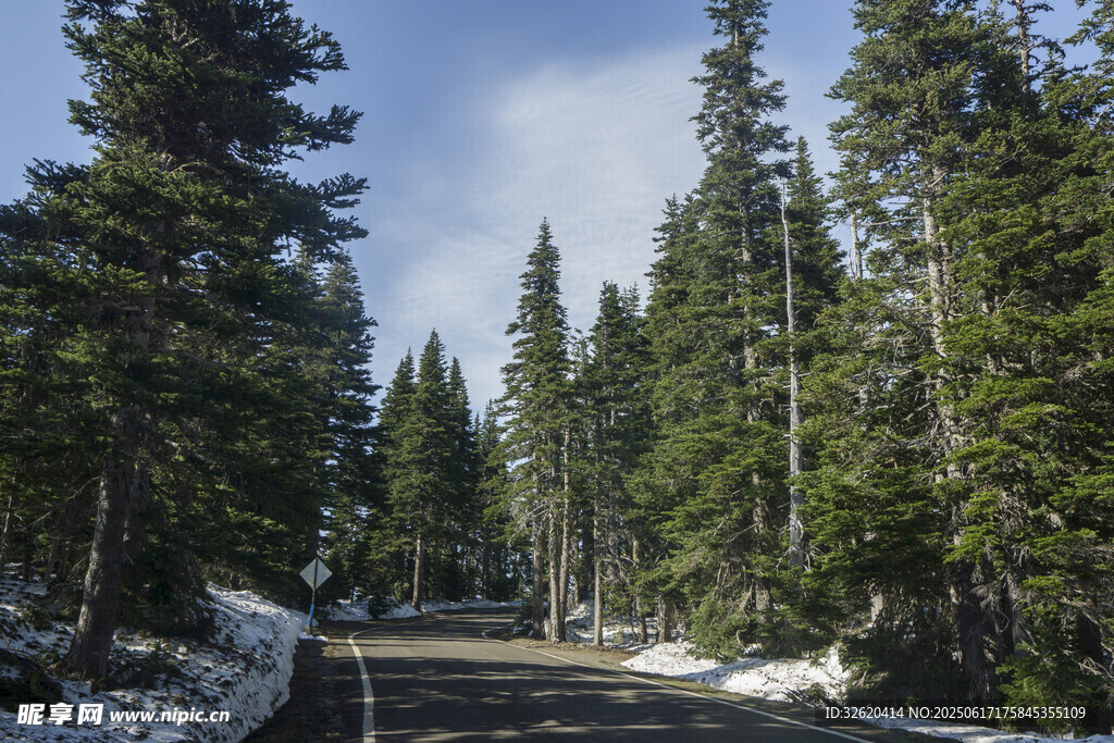 林間雪后公路美景
