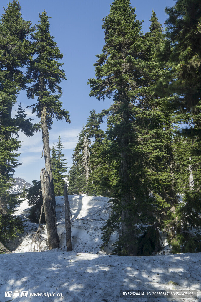 雪覆山林的冬日美景