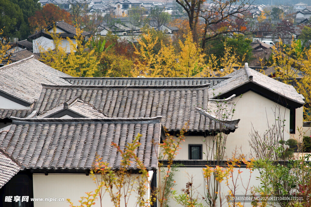 中式村落屋頂秋景