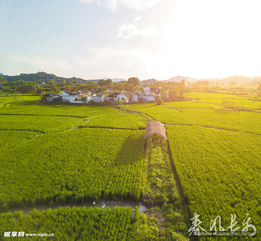 田園風光下的村落美景