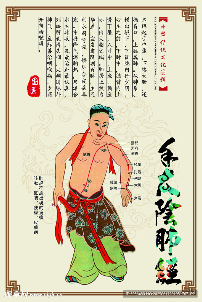 經(jīng)絡(luò) 穴位 展示圖