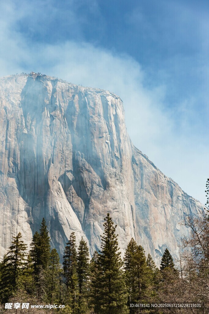 巍峨高山與蔥郁林木景觀