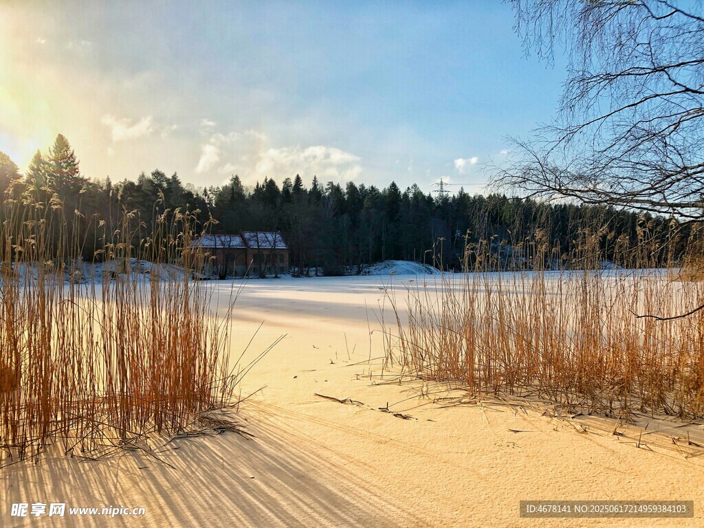 冬日河畔雪景