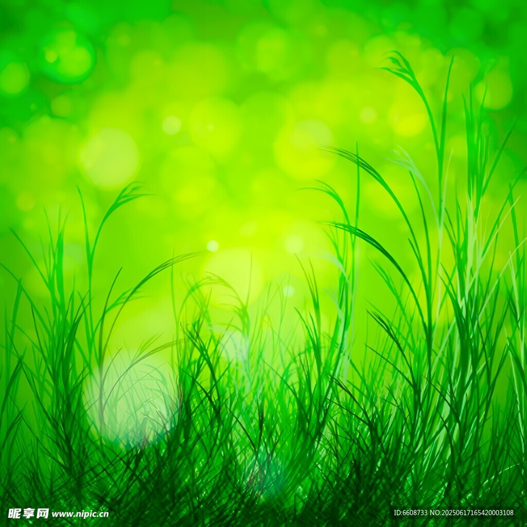 翠綠草地清新自然之景