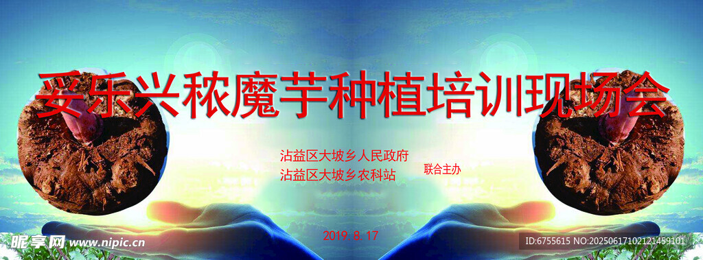 魔芋種植培訓現(xiàn)場會