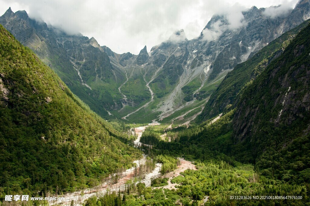 山谷間的翠綠美景