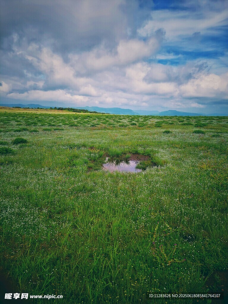 廣袤草原上的寧靜小水洼
