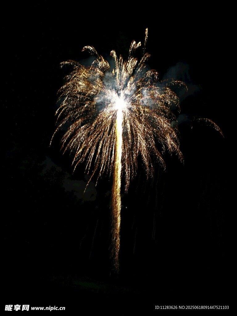 夜空中綻放的絢麗煙花