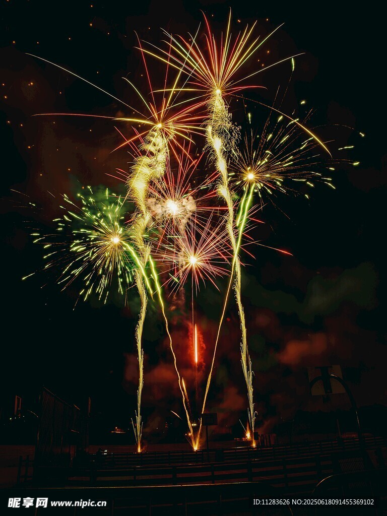 絢麗煙花綻放夜空