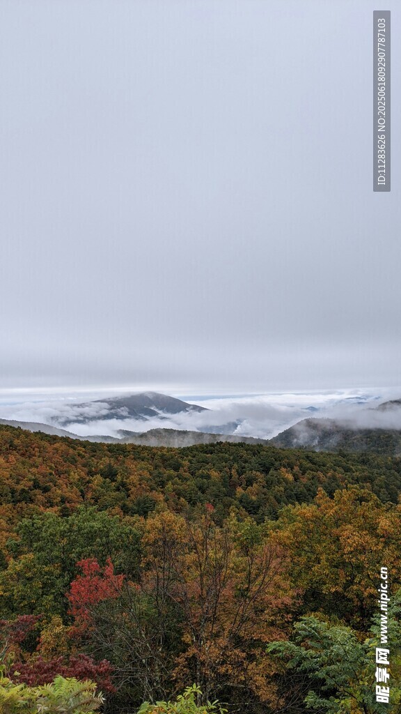 秋日山林多彩景致