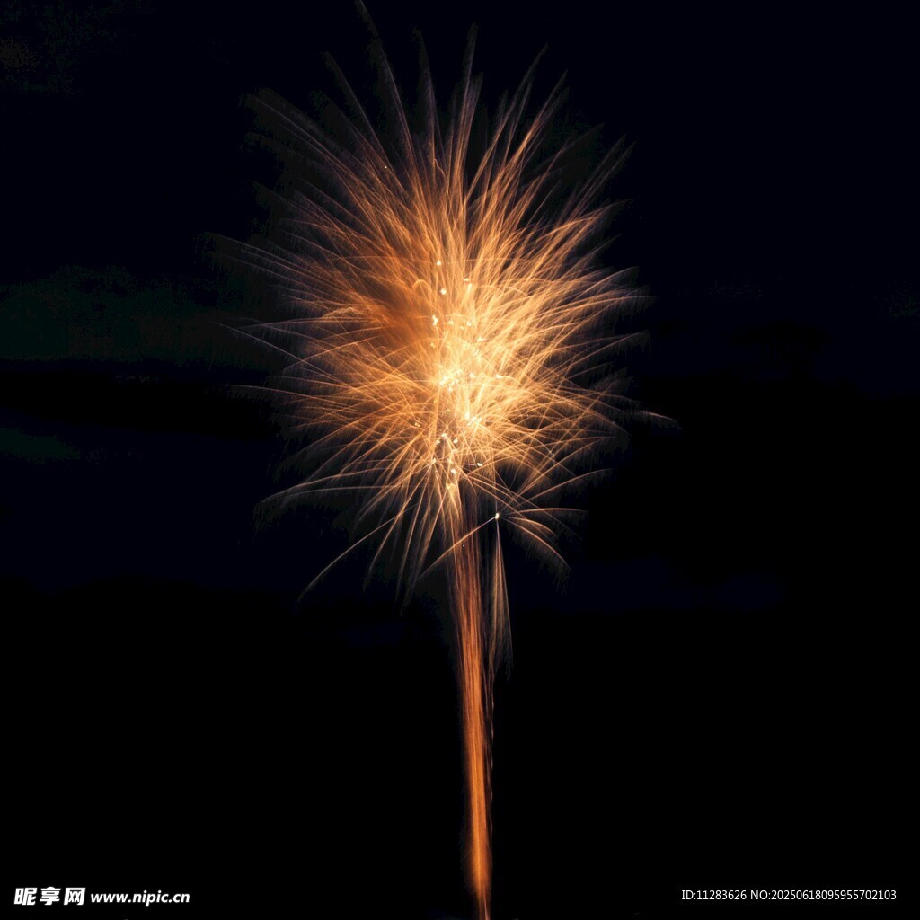 夜空中閃耀的絢爛煙花