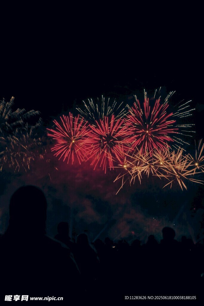夜空中絢爛的煙花表演