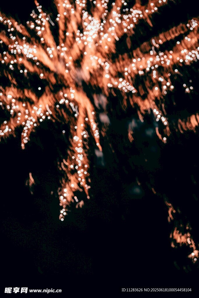 絢麗煙花綻放夜空