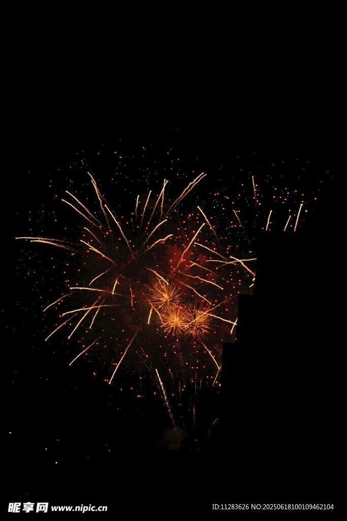 夜空中絢爛的煙花綻放