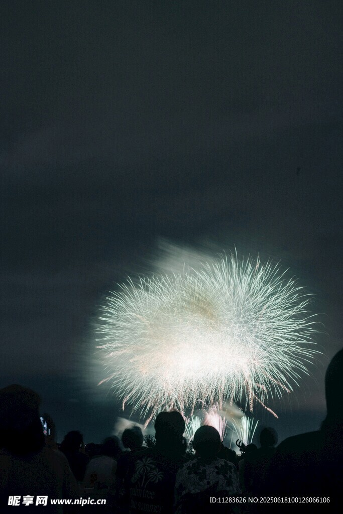 夜空中絢爛的煙花表演