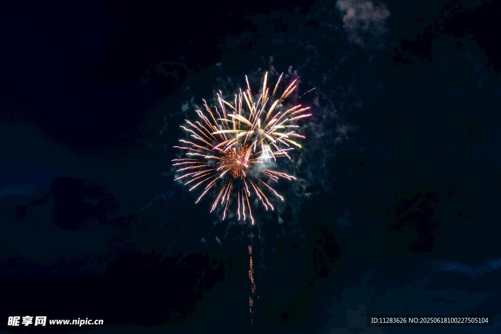 夜空中綻放的絢麗煙花