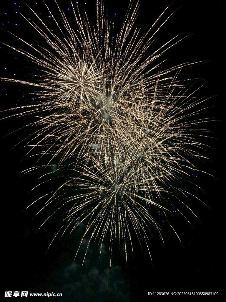 夜空中絢爛綻放的煙花