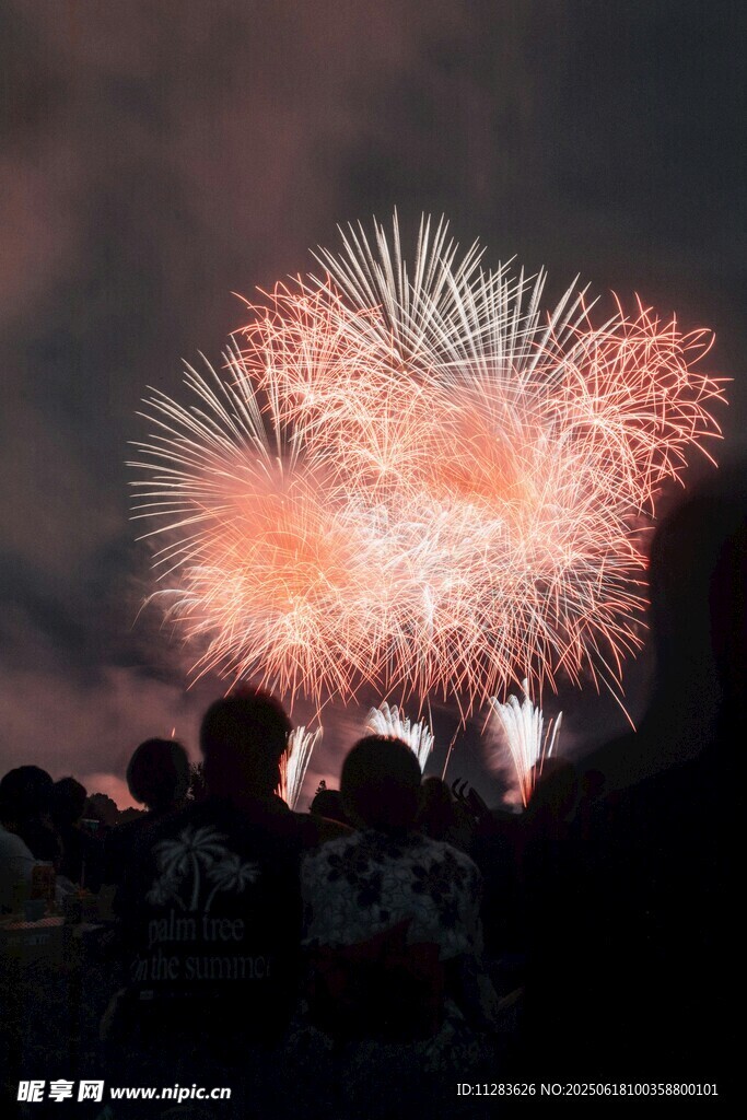 夜空中絢爛的煙花表演