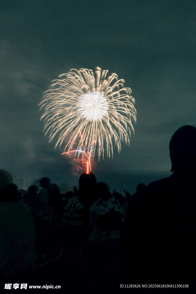 夜空中絢爛的煙花表演
