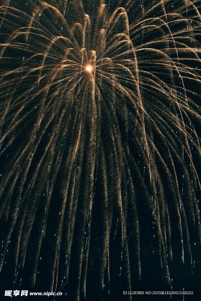 夜空中絢爛綻放的煙花