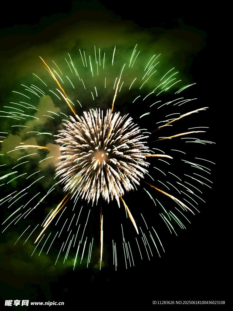 絢麗煙花綻放夜空