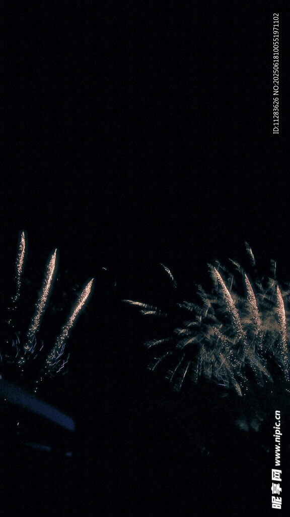 夜空中絢爛的煙花綻放
