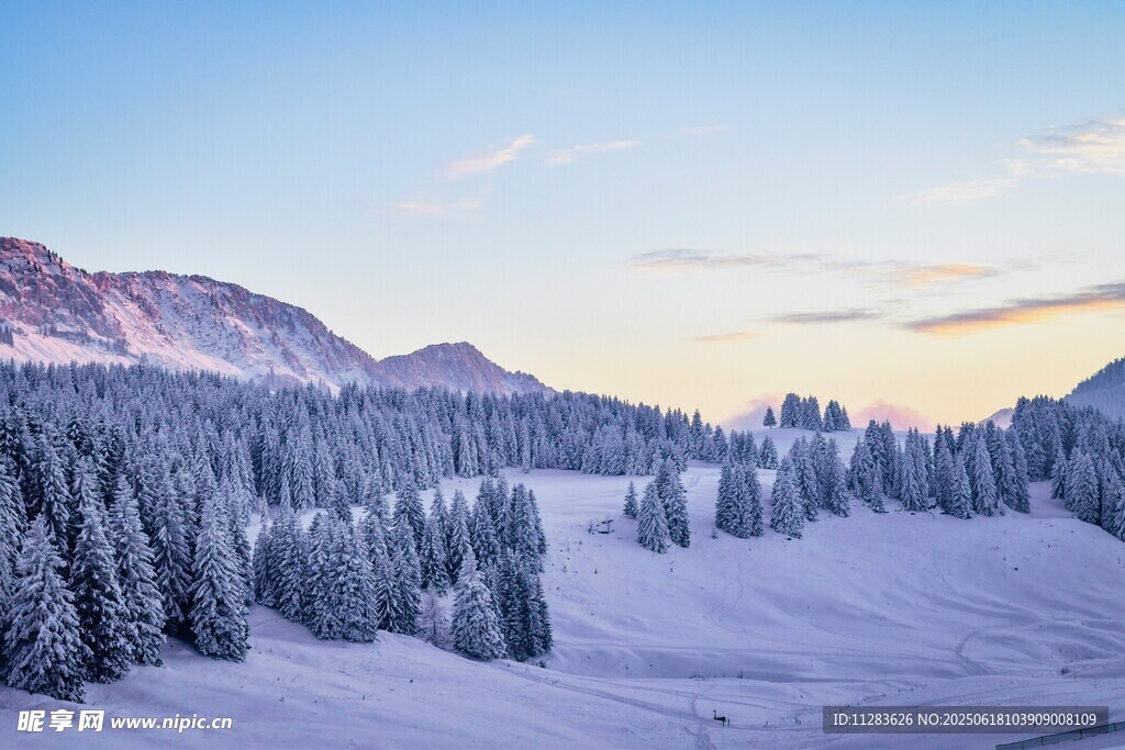 冬日雪覆山林美景