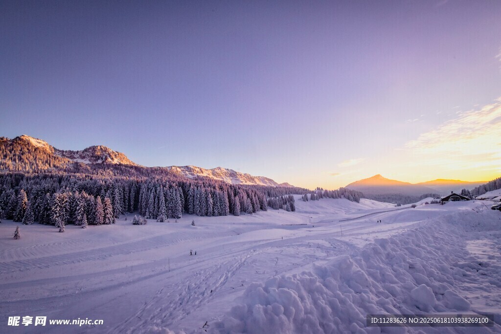 雪野山林的絕美黃昏景色