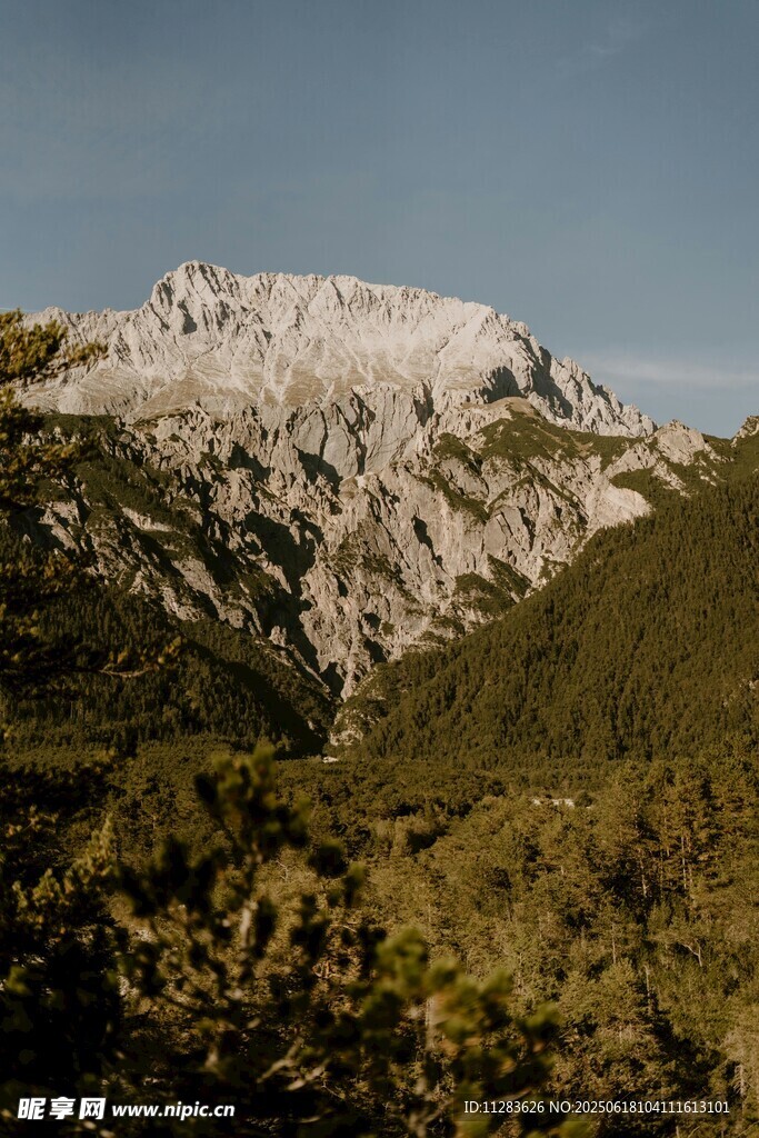 雪山下的蔥郁山林