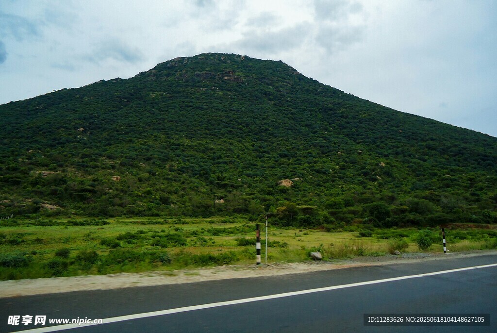 公路旁的青山綠意景觀