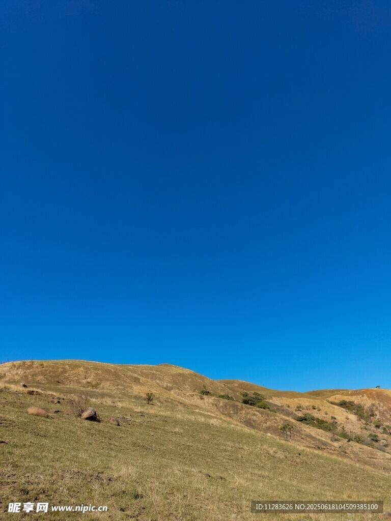 藍天映襯下的開闊草地